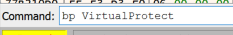 bp-VirtualProtect